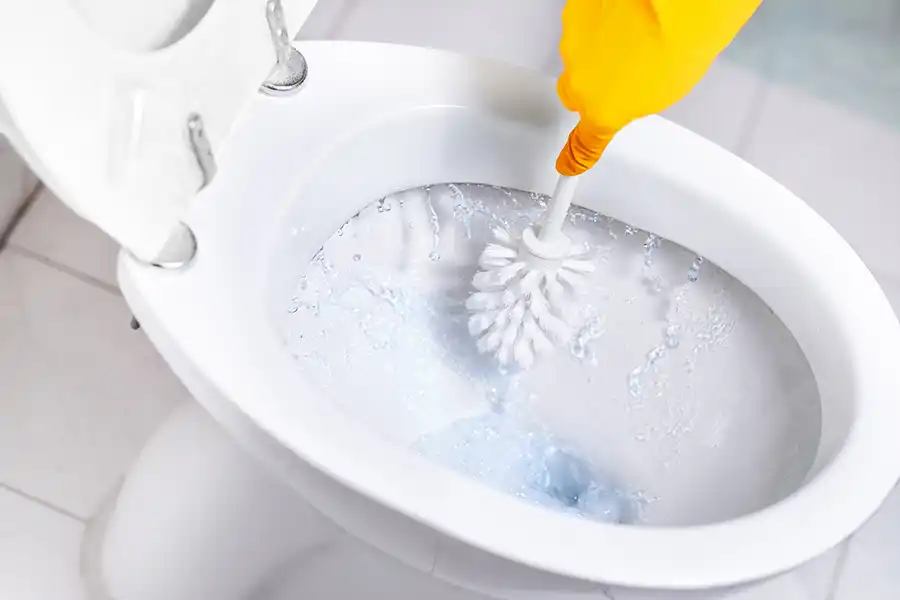 Bathroom Cleaning Bathroom Cleaning