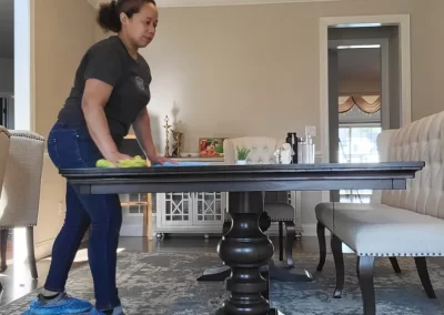 Professional Cleaning Services